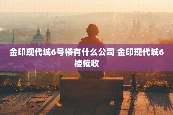 金印现代城6号楼有什么公司 金印现代城6楼催收