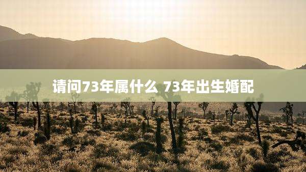 请问73年属什么 73年出生婚配