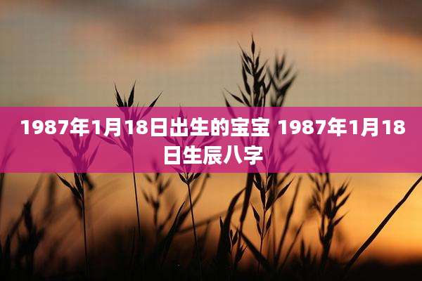 1987年1月18日出生的宝宝 1987年1月18日生辰八字