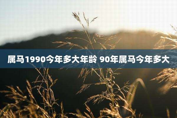 属马1990今年多大年龄 90年属马今年多大