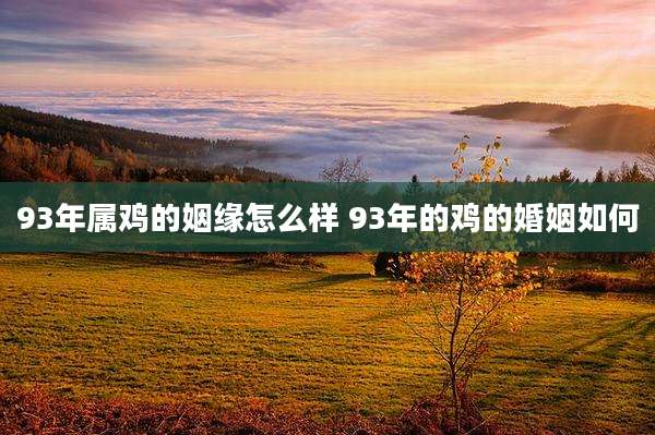 93年属鸡的姻缘怎么样 93年的鸡的婚姻如何