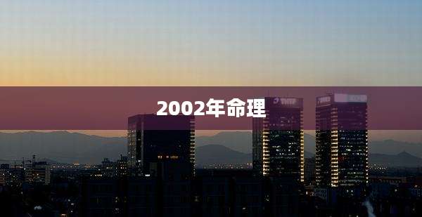 2002年命理