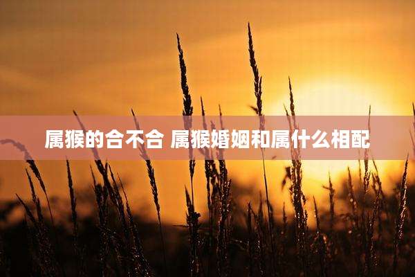 属猴的合不合 属猴婚姻和属什么相配