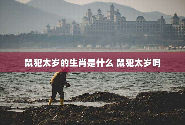鼠犯太岁的生肖是什么 鼠犯太岁吗