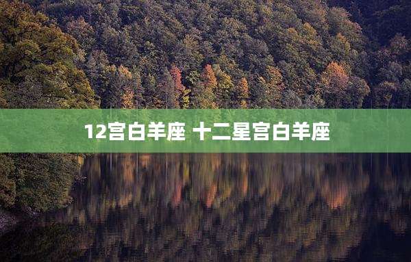 12宫白羊座 十二星宫白羊座