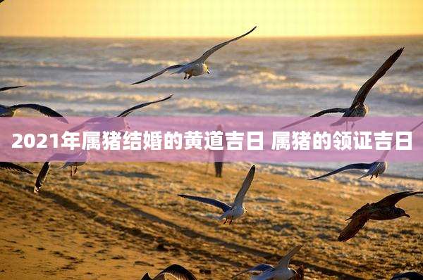 2021年属猪结婚的黄道吉日 属猪的领证吉日
