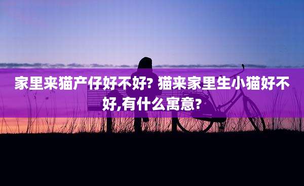 家里来猫产仔好不好? 猫来家里生小猫好不好,有什么寓意?