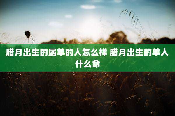 腊月出生的属羊的人怎么样 腊月出生的羊人什么命