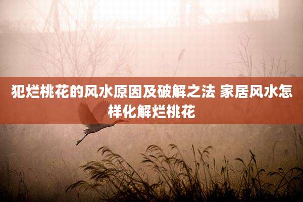 犯烂桃花的风水原因及破解之法 家居风水怎样化解烂桃花