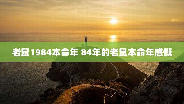 老鼠1984本命年 84年的老鼠本命年感慨
