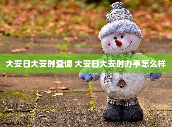 大安日大安时查询 大安日大安时办事怎么样