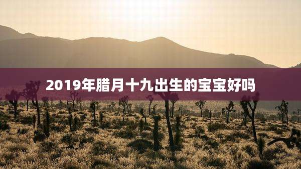 2019年腊月十九出生的宝宝好吗