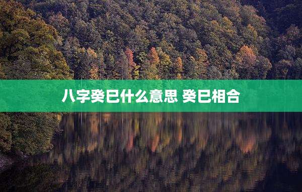 八字癸巳什么意思 癸巳相合