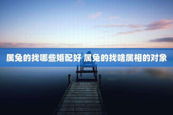 属兔的找哪些婚配好 属兔的找啥属相的对象