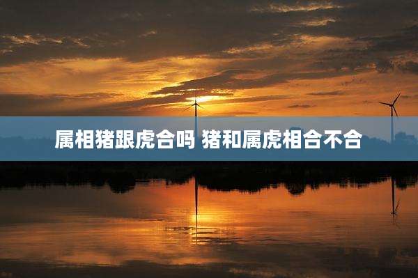 属相猪跟虎合吗 猪和属虎相合不合