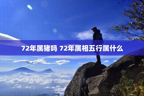 72年属猪吗 72年属相五行属什么