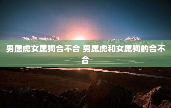 男属虎女属狗合不合 男属虎和女属狗的合不合
