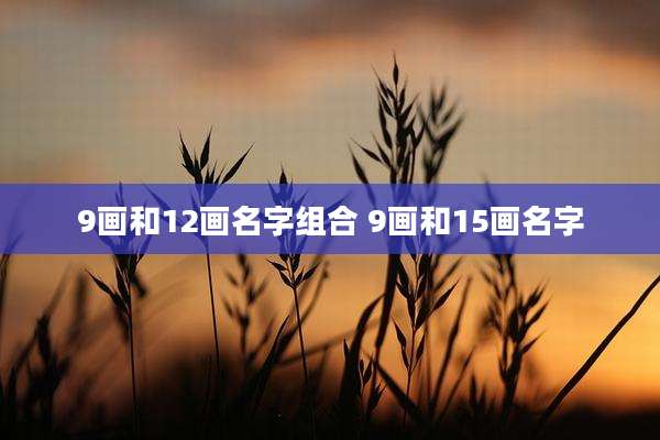9画和12画名字组合 9画和15画名字