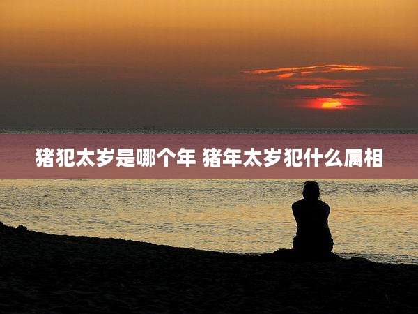 猪犯太岁是哪个年 猪年太岁犯什么属相