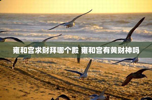 雍和宫求财拜哪个殿 雍和宫有黄财神吗