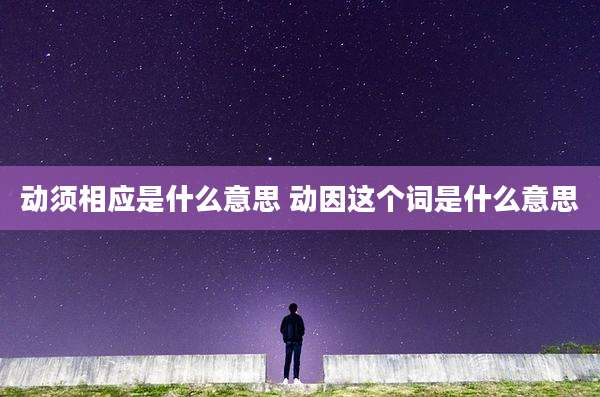 动须相应是什么意思 动因这个词是什么意思