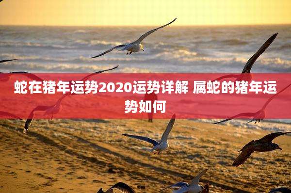 蛇在猪年运势2020运势详解 属蛇的猪年运势如何