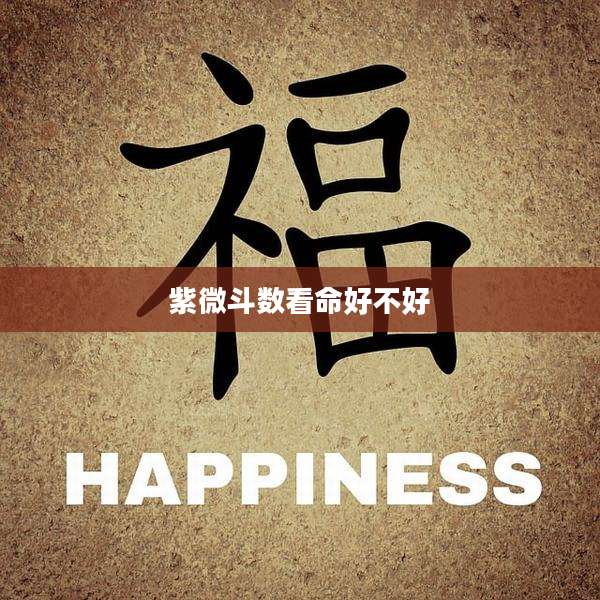 紫微斗数看命好不好
