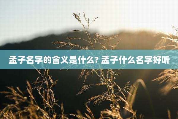 孟子名字的含义是什么? 孟子什么名字好听