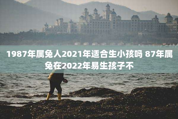 1987年属兔人2021年适合生小孩吗 87年属兔在2022年易生孩子不