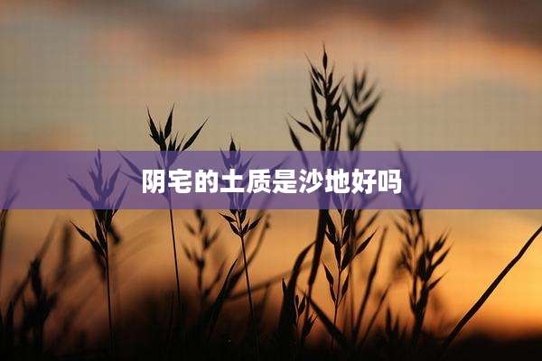 阴宅的土质是沙地好吗
