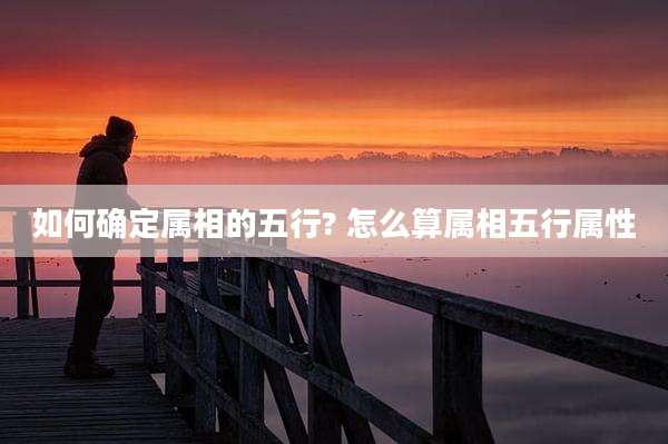 如何确定属相的五行? 怎么算属相五行属性