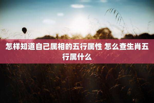 怎样知道自己属相的五行属性 怎么查生肖五行属什么