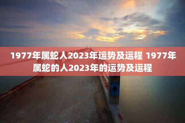 1977年属蛇人2023年运势及运程 1977年属蛇的人2023年的运势及运程