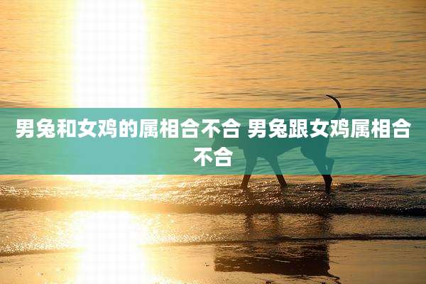 男兔和女鸡的属相合不合 男兔跟女鸡属相合不合