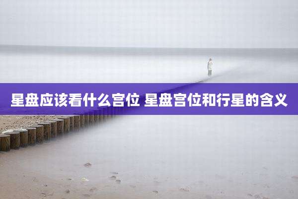 星盘应该看什么宫位 星盘宫位和行星的含义