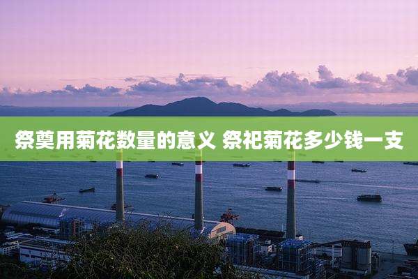 祭奠用菊花数量的意义 祭祀菊花多少钱一支