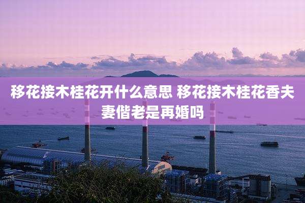 移花接木桂花开什么意思 移花接木桂花香夫妻偕老是再婚吗