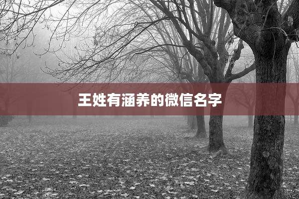 王姓有涵养的微信名字