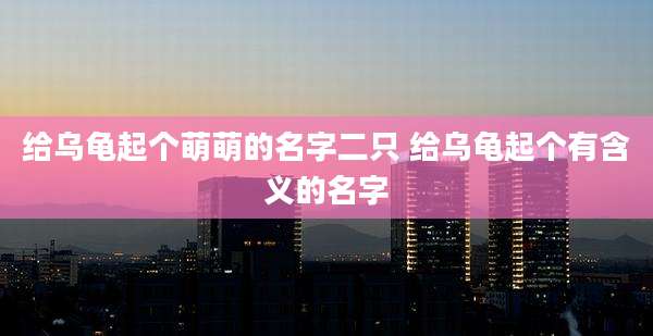 给乌龟起个萌萌的名字二只 给乌龟起个有含义的名字
