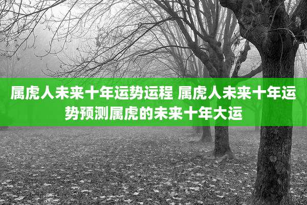 属虎人未来十年运势运程 属虎人未来十年运势预测属虎的未来十年大运