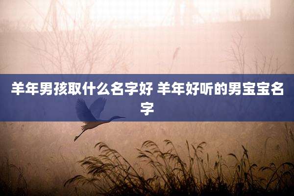羊年男孩取什么名字好 羊年好听的男宝宝名字