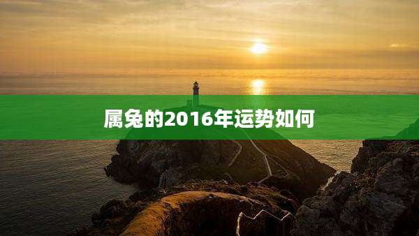 属兔的2016年运势如何