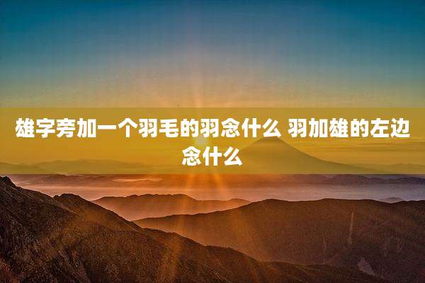 雄字旁加一个羽毛的羽念什么 羽加雄的左边念什么