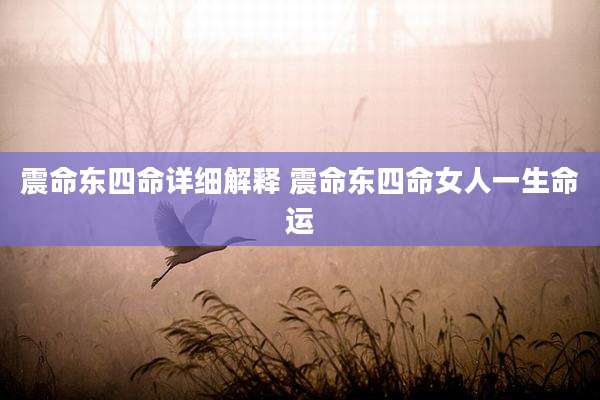 震命东四命详细解释 震命东四命女人一生命运
