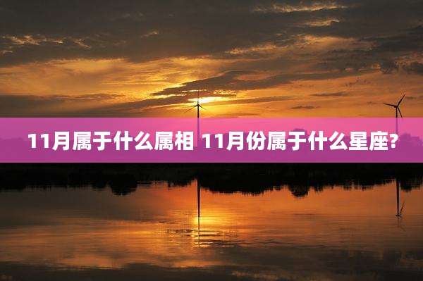 11月属于什么属相 11月份属于什么星座?