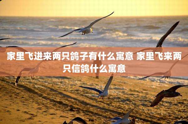 家里飞进来两只鸽子有什么寓意 家里飞来两只信鸽什么寓意