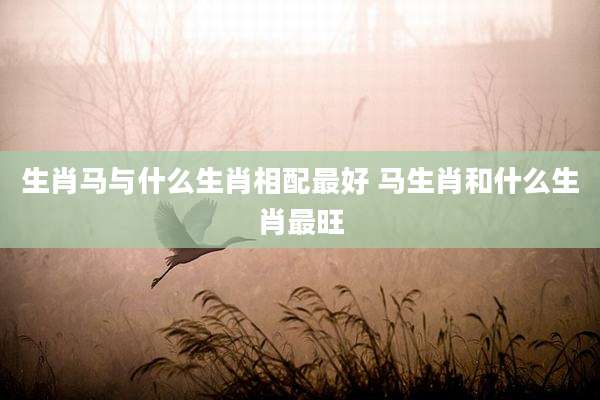 生肖马与什么生肖相配最好 马生肖和什么生肖最旺