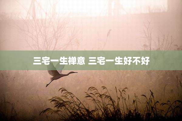 三宅一生禅意 三宅一生好不好