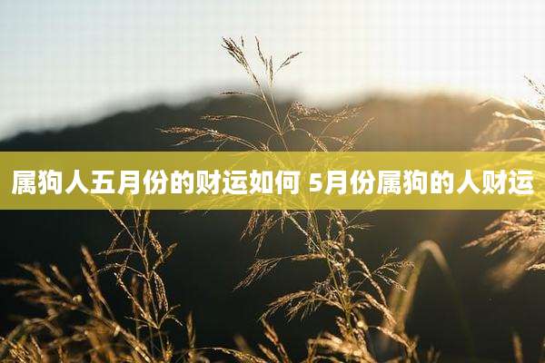 属狗人五月份的财运如何 5月份属狗的人财运