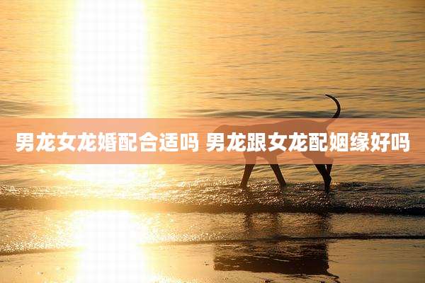 男龙女龙婚配合适吗 男龙跟女龙配姻缘好吗